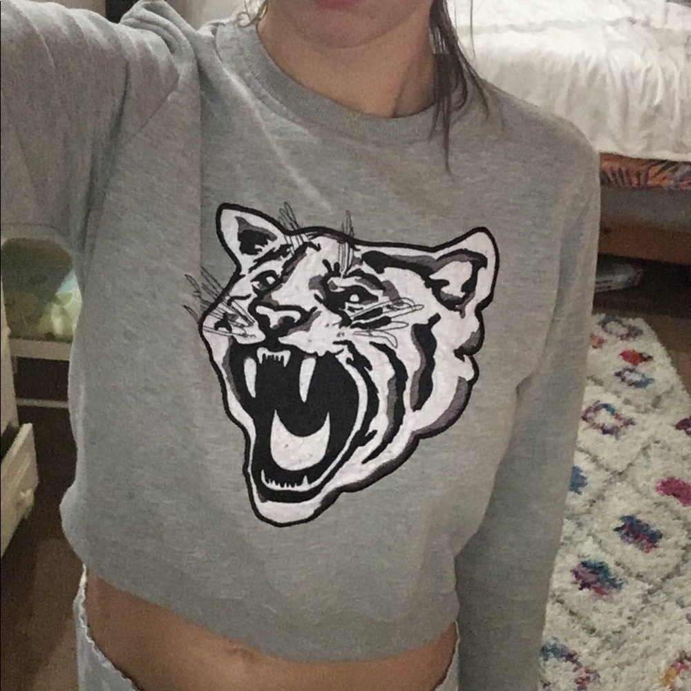🔴3 for $10 Panther sweater